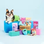 Bark Box company reviews