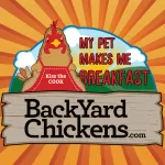 BackYardChickens