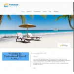 Professional Travel Center company reviews