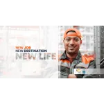 TalentMovers Profile