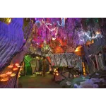 Meow Wolf