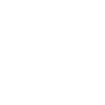 Detroit Dirt