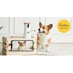 Furbo company reviews