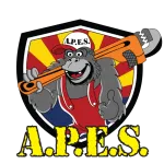A.P.E.S. Arizona Plumbing Expert Services