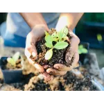 The Yisrael Family Farm