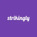 Strikingly Customer Service Phone, Email, Contacts