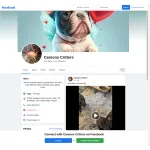 Carson's Critters Profile