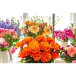 Bloomsy Box.com Profile