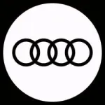 Biener Audi
