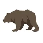 The Brown Bear Distribution Customer Service Phone, Email, Contacts