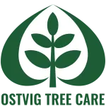 Ostvig Tree
