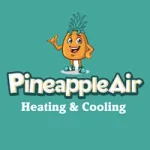 Pineapple Air Heating and Cooling
