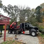 D & D Top Notch Tree Service Customer Service Phone, Email, Contacts