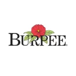 Burpee