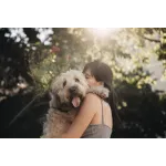 Sundays for Dogs Profile