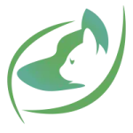 ForeBlog