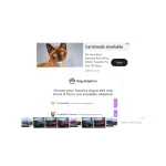 Puppies Nation Profile