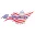 All American Hot Dog Carts