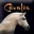 Cavalia Inc.