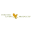 Forever Living Logo