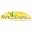 Nutriessential Logo