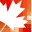Canadim Logo