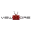 ViewMoreForFree.com