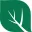 Insight Pest Solutions Logo