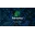 Palmetto Solar Logo