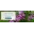 Spring Hill Nursery Logo