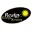 Realgy Logo