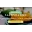 Salem Mango