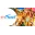 Student Travel Services Logo