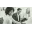 Partners 1st Federal Credit Union