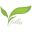Follus