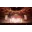 Madison Square Garden Entertainment