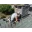Absolute Roof Solutions