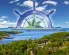 Branson's Nantucket Reviews and Complaints