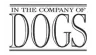 In The Company of Dogs Reviews and Complaints
