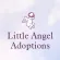 Little Angel Adoptions