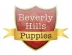 Beverly Hills Puppies