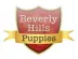 Beverly Hills Puppies Reviews and Complaints