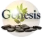 Genesis Ibogaine Center Reviews and Complaints
