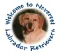 Neverest Labs Reviews and Complaints