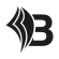 Bizapedia.com Reviews and Complaints