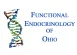 Functional Endocrinology Of Ohio