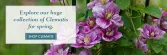 Spring Hill Nursery Logo