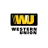 Western Union reviews, listed as Alexander Forbes Group Holdings