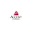 Accent Energy TX LP