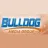 Bulldog Media Group, Inc.
